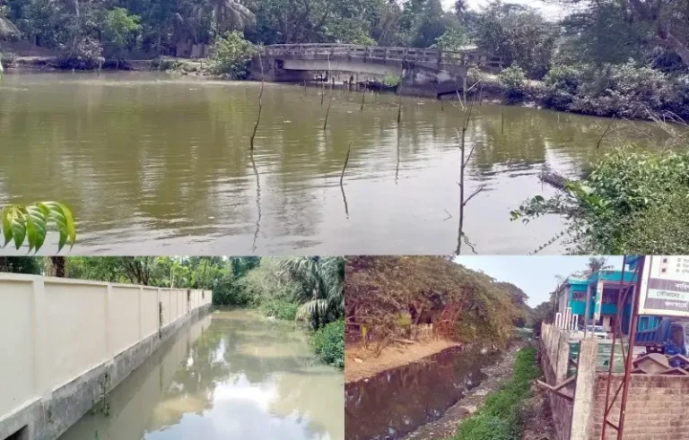 সরকারি টাকায় খাল ধ্বংসের অভিযোগ, কলাপাড়ায় জনমনে ক্ষোভ