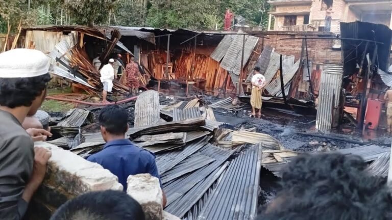 ভোলায় ফার্নিচারের গোডাউনে ভয়াবহ আগুন, ক্ষতি প্রায় ৫ লাখ টাকা