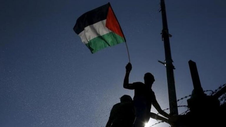  ফিলিস্তিনের পতাকা ওড়ানোর দায়ে ভারতে বিদ্যুৎ কর্মী বরখাস্ত