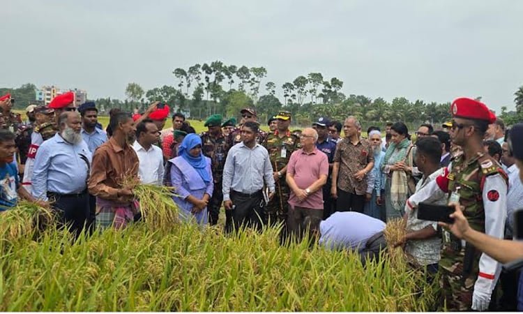 ভবদহে তিন উপদেষ্টার পরিদর্শনে আশার আলো, জলাবদ্ধতা নিরসনে দৃঢ় প্রতিশ্রুতি