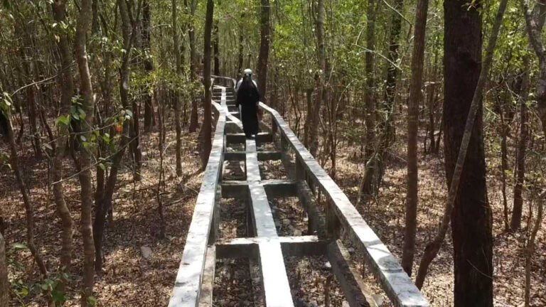 হরিণঘাটা পর্যটনকেন্দ্রের দুরবস্থা: কবে কাটবে এই অবস্থা?