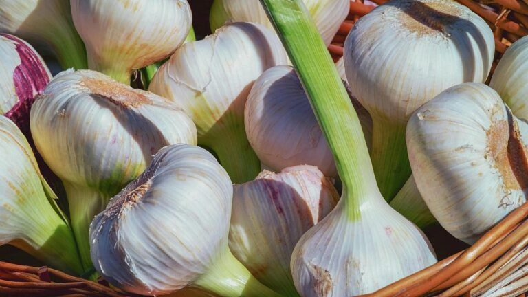 রসুন নিয়ে সত্যি নয় যে ধারণাগুলো