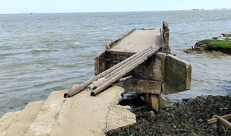 মেঘনার ভাঙনে বিপর্যস্ত ভোলার শিবপুর, হুমকিতে শহর রক্ষা বাঁধ