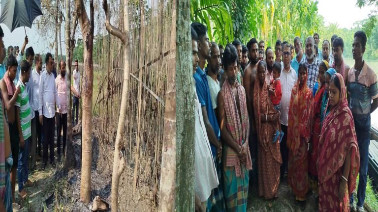 ঝালকাঠিতে দুর্বৃত্তদের আগুনে পুড়ল ৫ কৃষকের পানের বরজ