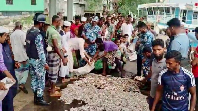 কলাপাড়ায় সাগর থেকে অবৈধভাবে আহরণকৃত ১২ মণ মাছ জব্দ