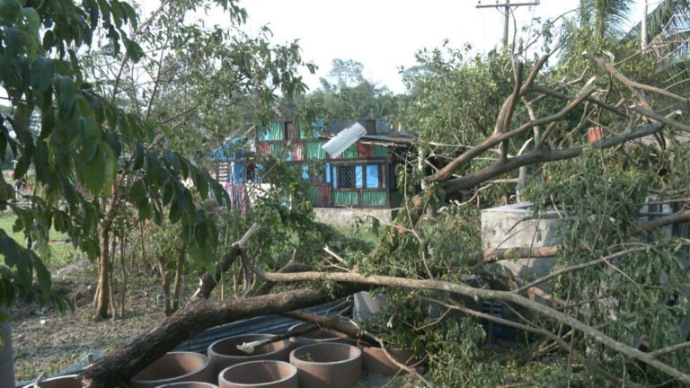 বৈশাখী ঝড়-শিলাবৃষ্টিতে দক্ষিণাঞ্চলে বোরো ধানের সর্বনাশ