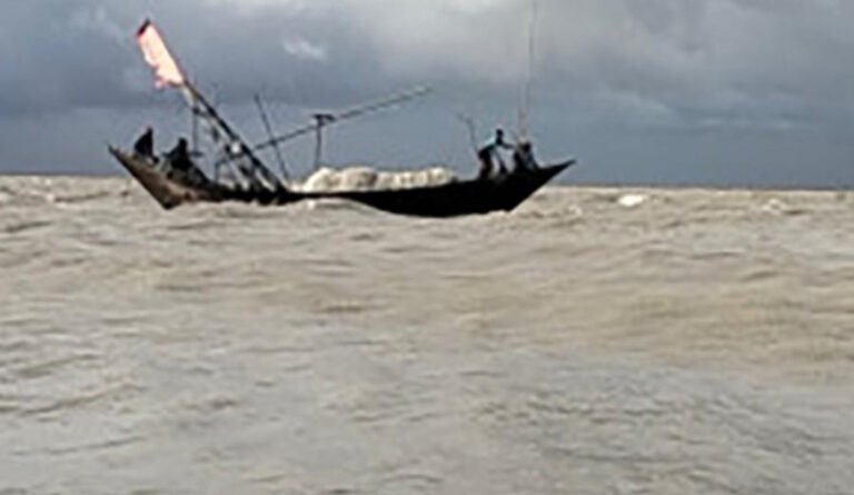 বিষখালী নদীতে রাতের আঁধারে ইলিশের পোনা নিধন, হুমকিতে জীববৈচিত্র্য