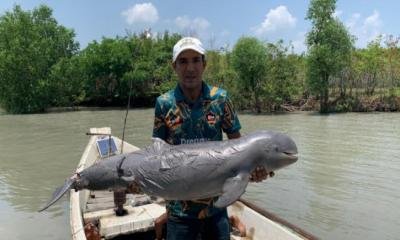 বরগুনার মোহনায় মৃত ডলফিন উদ্ধার, দূষণ ও ট্রলারের ধাক্কায় প্রাণ হারানোর আশঙ্কা