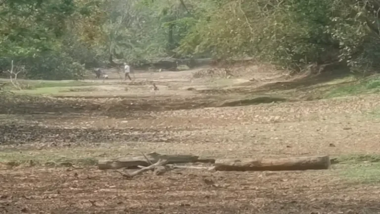 মৃতপ্রায় কচ্ছপখালী খাল, দুর্ভোগে হাজারো পরিবার