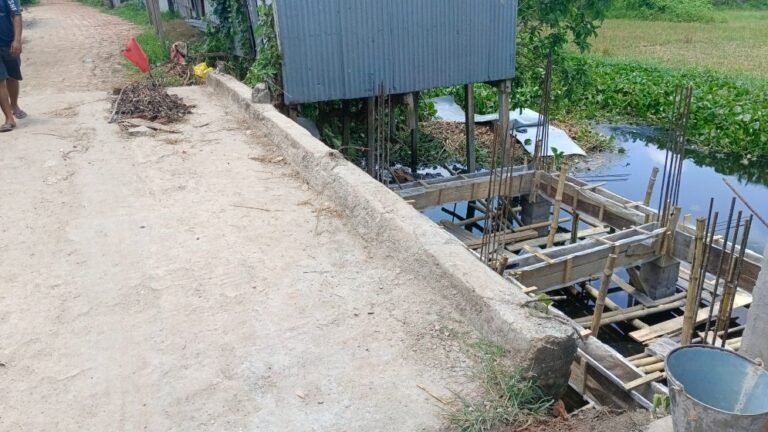 সরকারি খাল দখল করে ভবন নির্মাণ, বিএনপি নেতার বিরুদ্ধে অভিযোগ