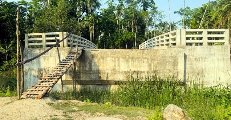 সেতু আছে, রাস্তা নেই! মই বেয়ে পারাপারে দুর্ভোগ পোহাচ্ছেন হাজারো মানুষ