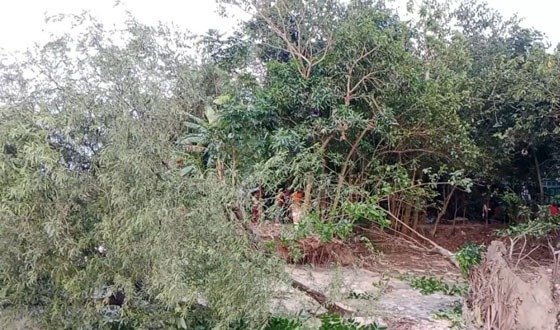 সন্ধ্যা নদীর ভাঙনে ৮ বসতঘর বিলীন, হুমকিতে শতাধিক স্থাপনা