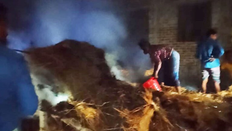 বাউফলে দুর্বৃত্তের আগুনে পুড়ে ছাই গোয়ালঘর, প্রাণ গেল গরু-ছাগলসহ শতাধিক প্রাণীর