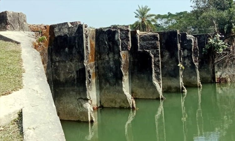 ধ্বংসের মুখে উপকূলের স্লুইসগেট, কৃষিতে শঙ্কা