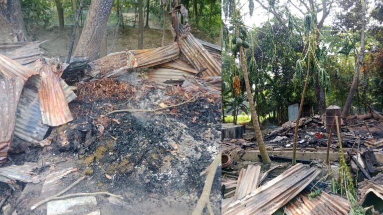 দুমকিতে আগুনে ঘর ছাই, পুড়ে গেল সাত ছাগল