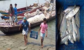 নিষেধাজ্ঞা শেষে জেলেরা নদীতে, কিন্তু নেই কাঙ্ক্ষিত মাছ