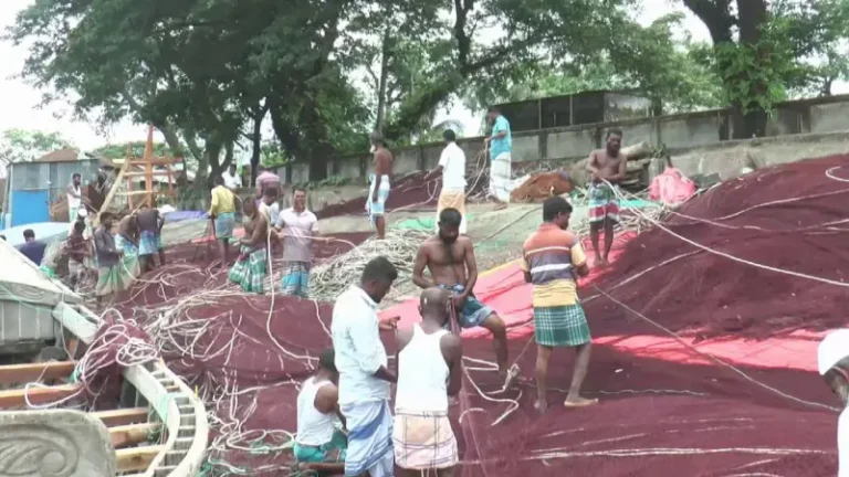 ভোলার জেলেরা এখনো বঞ্চিত প্রণোদনার চাল থেকে