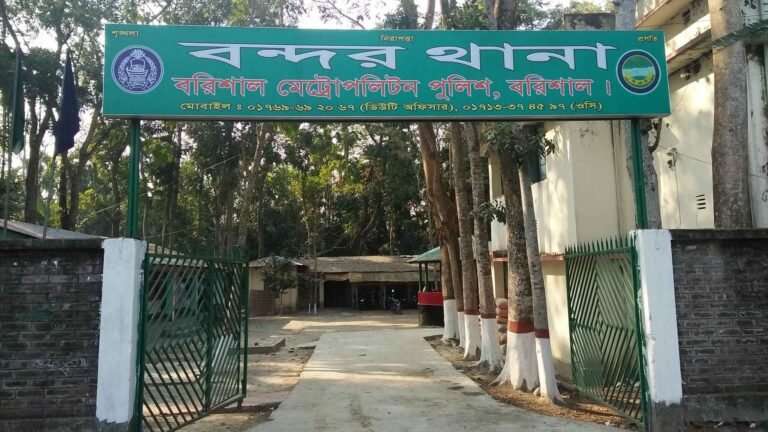 সালিশ শেষে হামলা, বৃদ্ধা রাবেয়ার মৃত্যুতে হত্যা মামলা