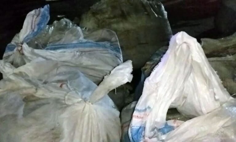 জব্দকৃত ৩০ মণ সামুদ্রিক মাছ এতিমখানায় বিতরণ