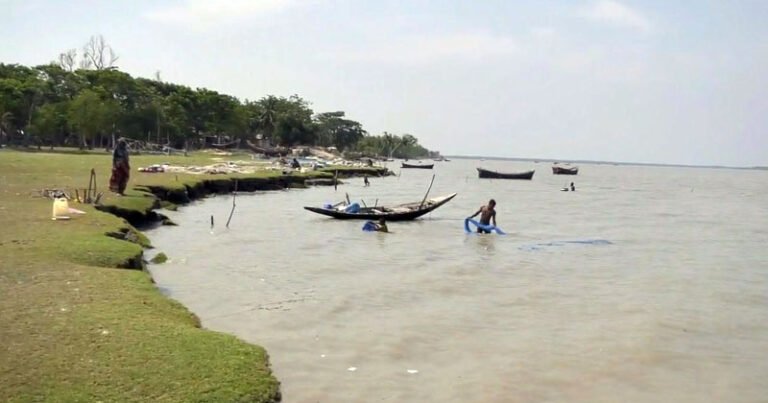বরগুনার নদীতে নিষিদ্ধ জালে পোনা নিধন, হুমকিতে মৎস্যসম্পদ