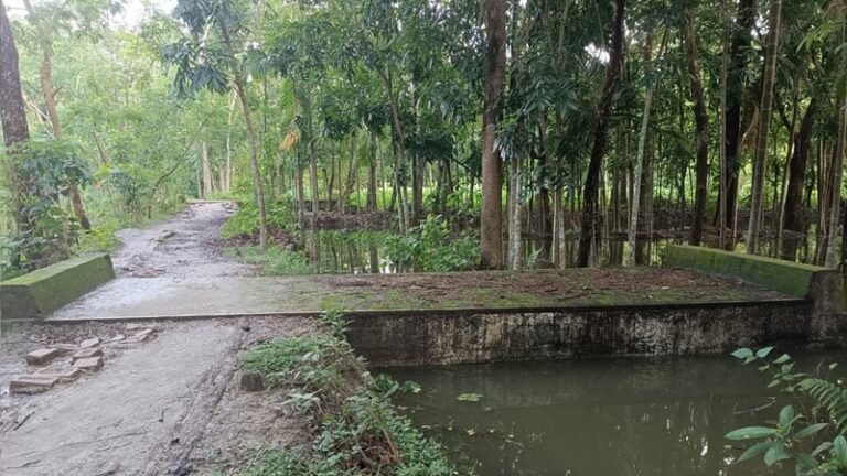 দরকারি সড়ক নেই, অথচ বিলের মধ্যে পড়ে আছে কালভার্ট!