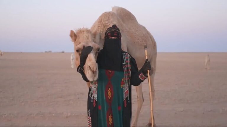 মরুভূমিতে উটকে সন্তান মেনে একাকী জীবন কাটাচ্ছেন রুকিয়া