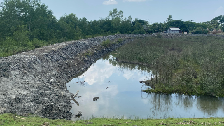 বনাঞ্চল উজাড় করে মাছের ঘের, উদ্বেগে পরিবেশকর্মীরা