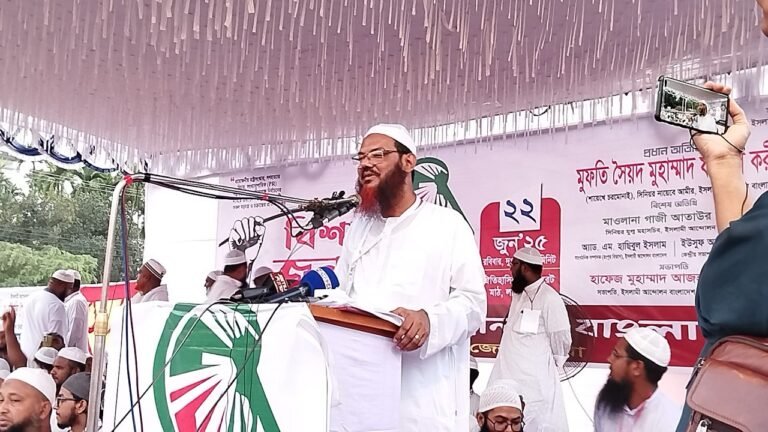 আওয়ামী লীগ-বিএনপি একই ধারার দল: মুফতি ফয়জুল করীম