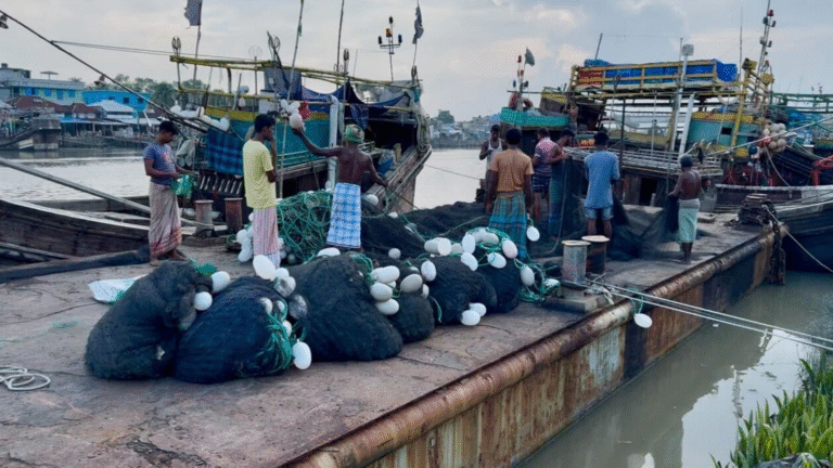ফিরল কর্মচাঞ্চল্য, সাগরে নামছে জেলেরা