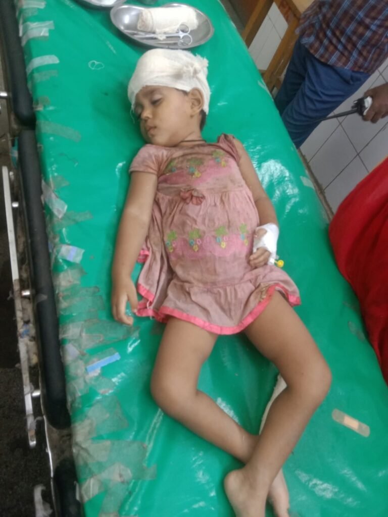 চার বছরের শিশুর মাথায় ইটের আঘাত: জমি বিরোধে নির্মম হামলা