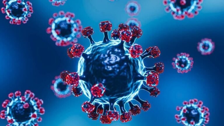 ২৪ ঘণ্টায় করোনায় ২ জনের মৃত্যু, নতুন আক্রান্ত ৪