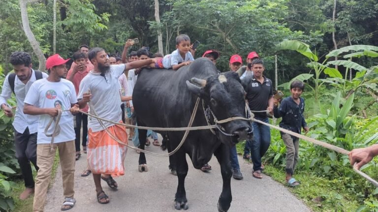 খালেদা জিয়াকে উপহার দিতে ‘কালো মানিক’ নিয়ে ঢাকার পথে পটুয়াখালীর কৃষক সোহাগ মৃধা