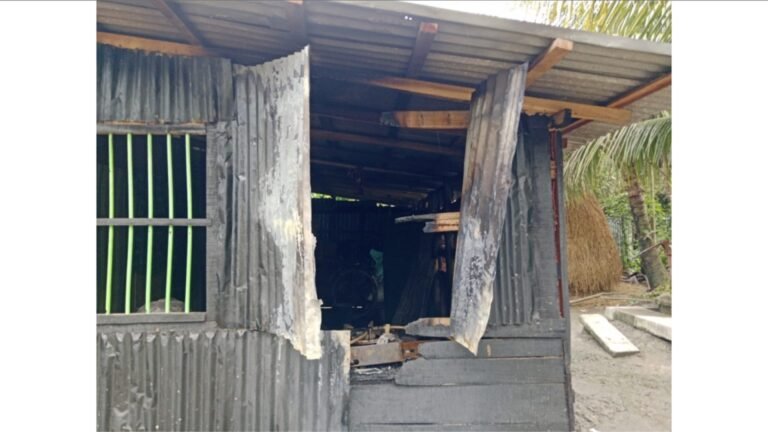 বাবুগঞ্জে গভীর রাতে বসত ঘরে আগুন দিয়েছে দুর্বৃত্তরা