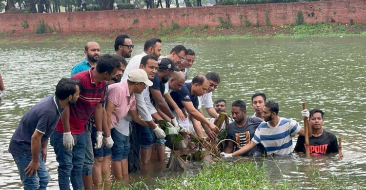 ‘আমরা বিএনপি পরিবার’ এর উদ্যোগে জিয়া উদ্যানের লেকে শাপলা ফুল রোপিত হলো