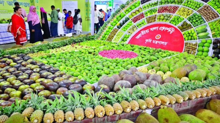 রাজধানীতে বৃহস্পতিবার থেকে তিন দিনের জাতীয় ফল মেলা শুরু হতে যাচ্ছে 