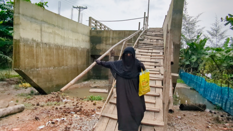 বরগুনার ৬ কোটি টাকার সেতু, চলাচল করতে হয় মই বেয়ে!