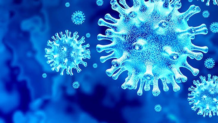 করোনায় স্বস্তির দিন: নতুন রোগী ৬, কেউ মারা যায়নি