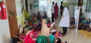 বরগুনা ডেঙ্গুর হটস্পটে পরিণত, ২৪ ঘণ্টায় আক্রান্ত ৯৩ জন