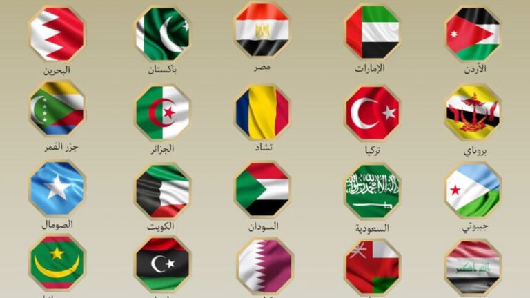 ইরানে ইসরায়েলি হামলার নিন্দা ও যুদ্ধ বিরতির আহ্বান মুসলিম দেশগুলোর