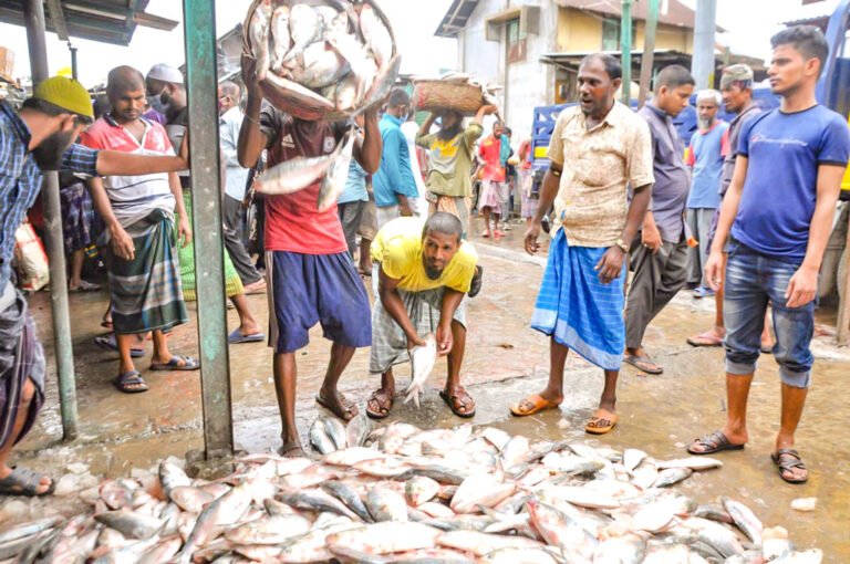 বরিশালে ইলিশের দেখা নেই, বাজারে আগুন—ভরা মৌসুমেও হতাশ জেলেরা