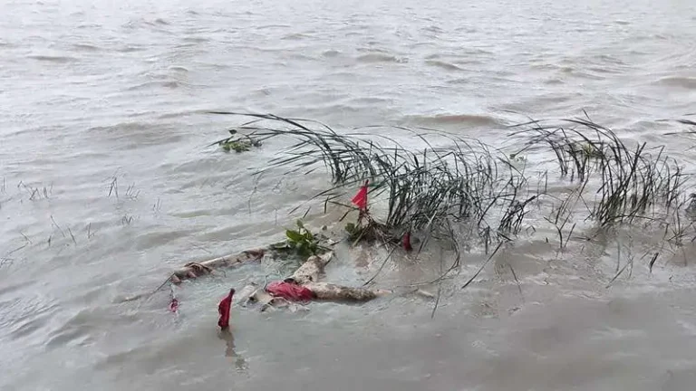 বরিশালে কলাগাছের ভেলায় ভেসে এল ভারতীয় নারীর অর্ধগলিত লাশ