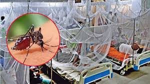 বরিশাল বিভাগে ডেঙ্গু আক্রান্ত ৫ হাজার ছাড়াল