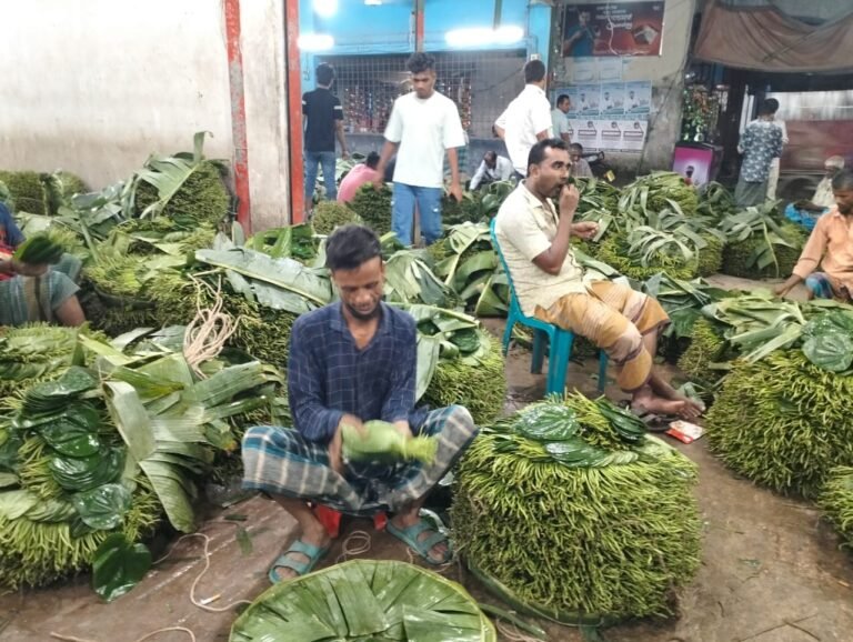 নীলখোলায় জমজমাট কোটি টাকার পানের হাট