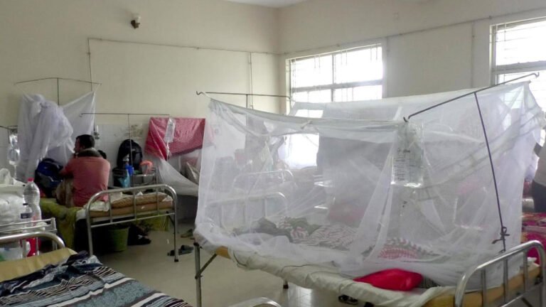 বরিশালে ডেঙ্গুতে আরও দুইজনের মৃত্যু, হাসপাতালে ভর্তি বেড়েই চলেছে
