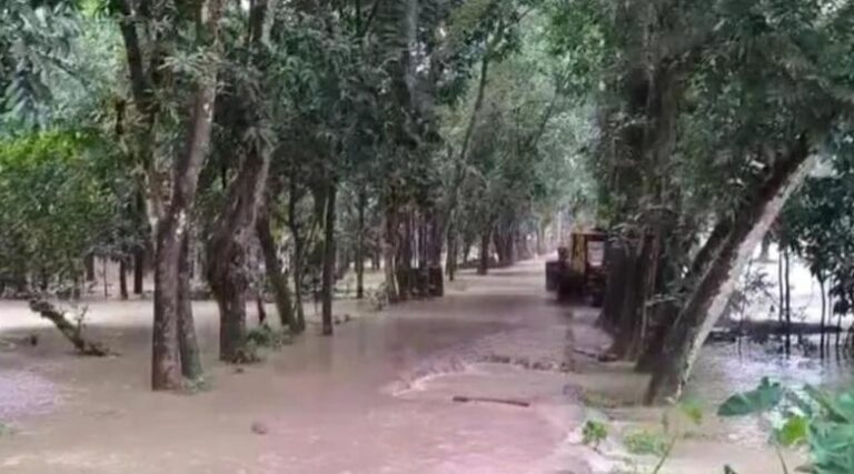 অমাবস্যার জোয়ারে পটুয়াখালীর নদীভাঙন-দুর্ভোগ চরমে