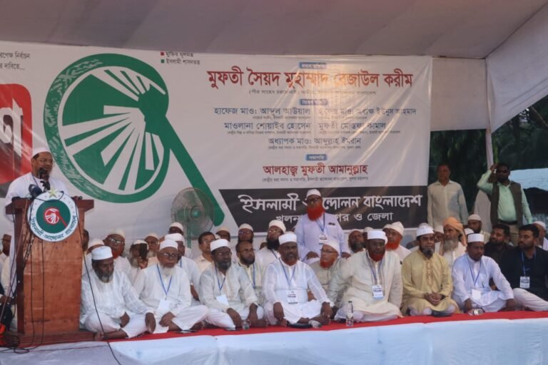 চরমোনাই পীরের হুঁশিয়ারি: এই সুযোগ কাজে না লাগাতে পারলে স্বৈরাচার আবারো ফিরে আসবে