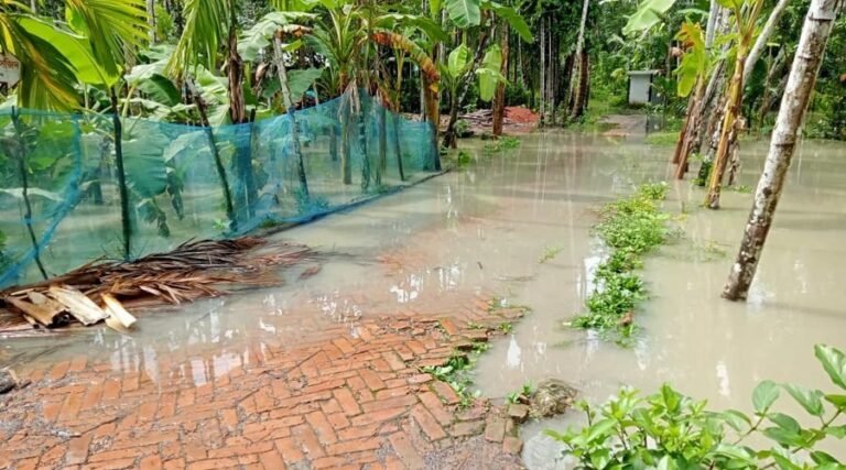 বেড়িবাঁধ না থাকায় ইন্দুরকানীতে অতিরিক্ত জোয়ারের পানিতে প্লাবিত অন্তত ২০ গ্রাম, ক্ষতির মাত্রা ভয়াবহ