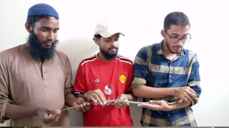 কলাপাড়ায় আহত কাল নাগিনী সাপের এক্সরে, উন্নত চিকিৎসার উদ্যোগ