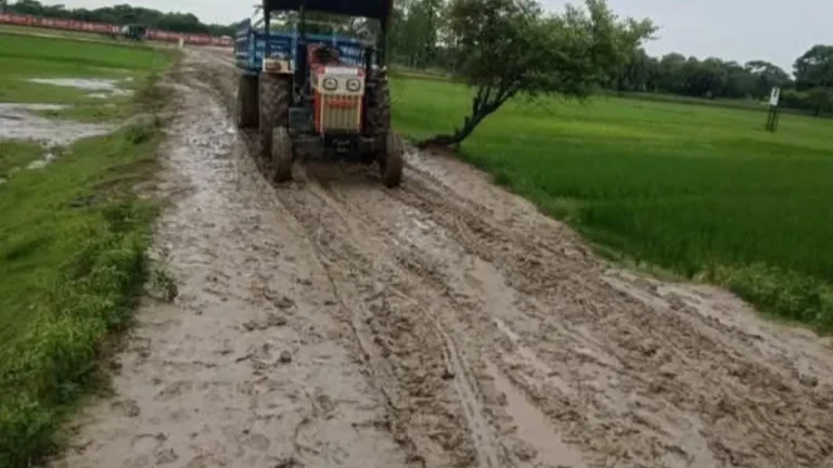 ৫৪ বছরেও পাকা হয়নি কুয়াকাটার মুসুল্লীয়াবাদ সড়ক