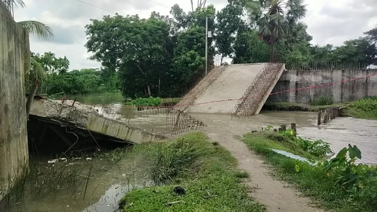 চলাচলের আগেই খালে ভেঙে পড়ল ৬ কোটি টাকার সেতু